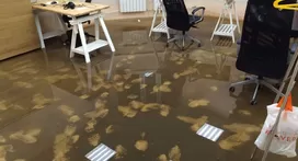 Уборка после затопления