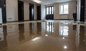 Уборка после потопа в Бресте 