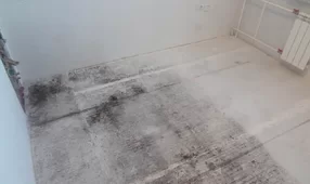 Удаление плесени в Минске